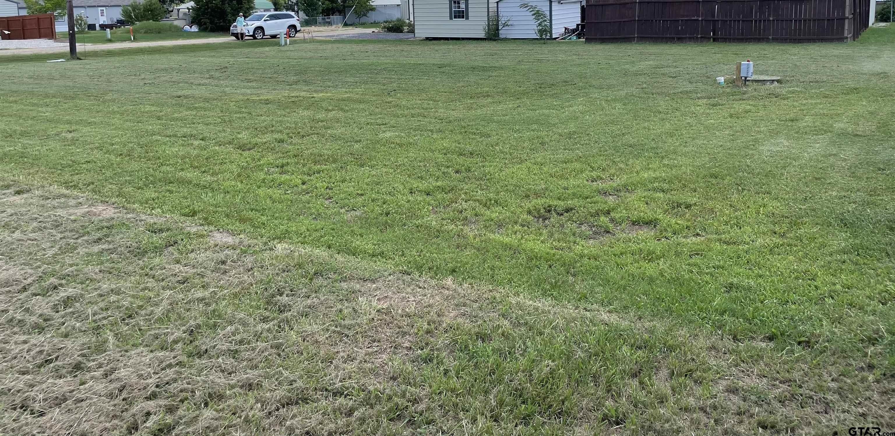 a view of a backyard