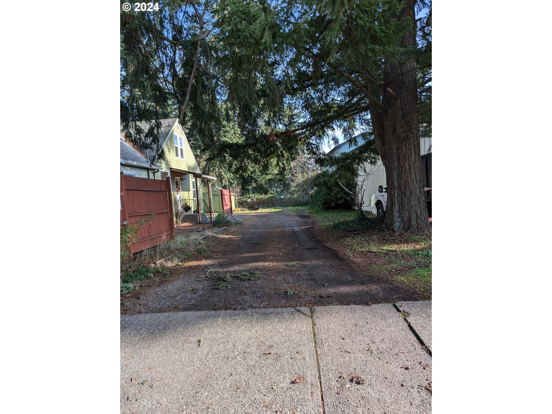 a view of a yard with plants and a large tree