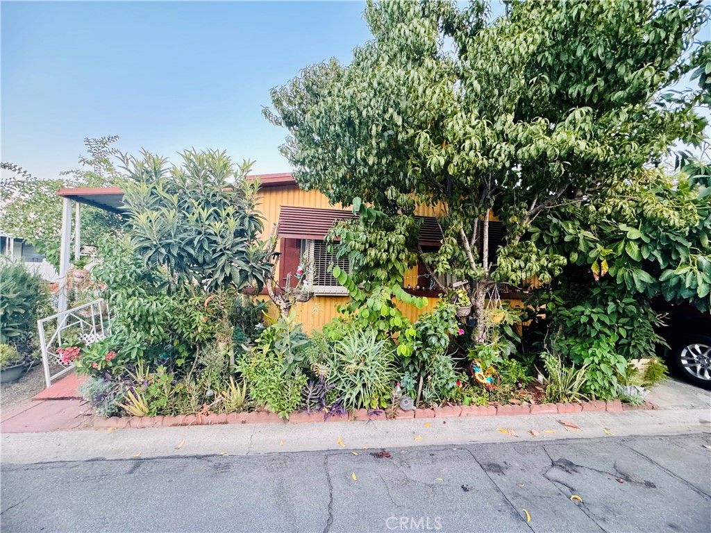 front view of a house with a yard and potted plants