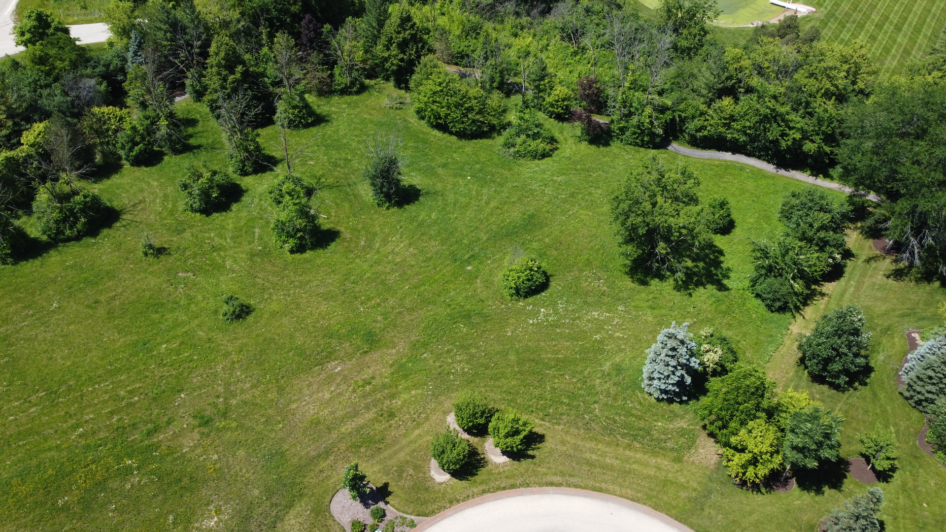 a view of a garden