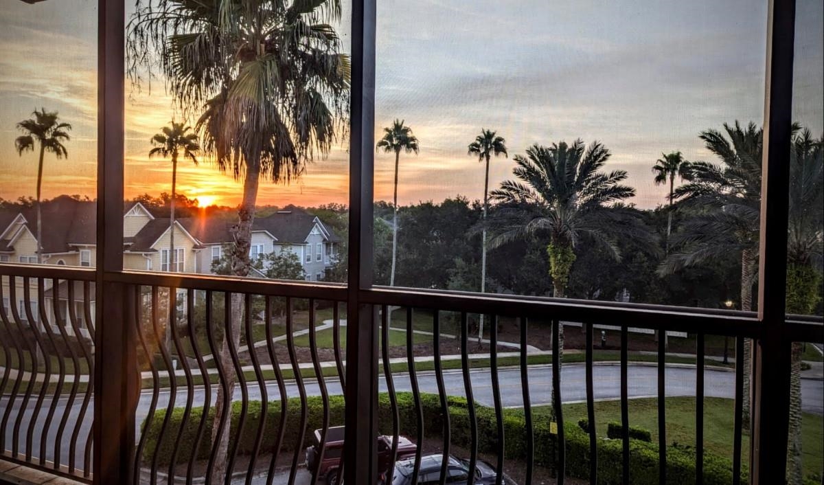 a view of a palm trees from a balcony