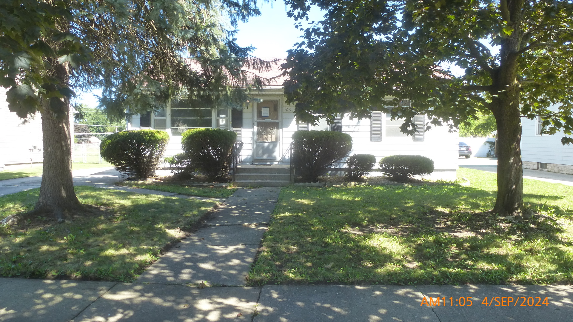 a view of a tree in a yard