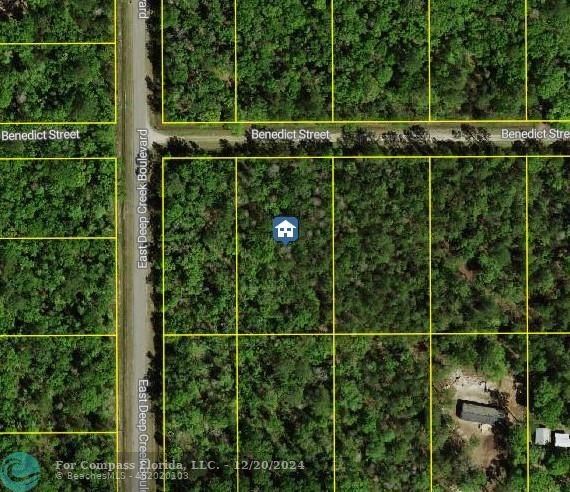 2 ACRES-ST JOHNS COUNTY-FLAGLER ESTATES