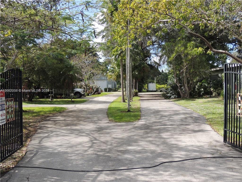 a view of a park with tree s