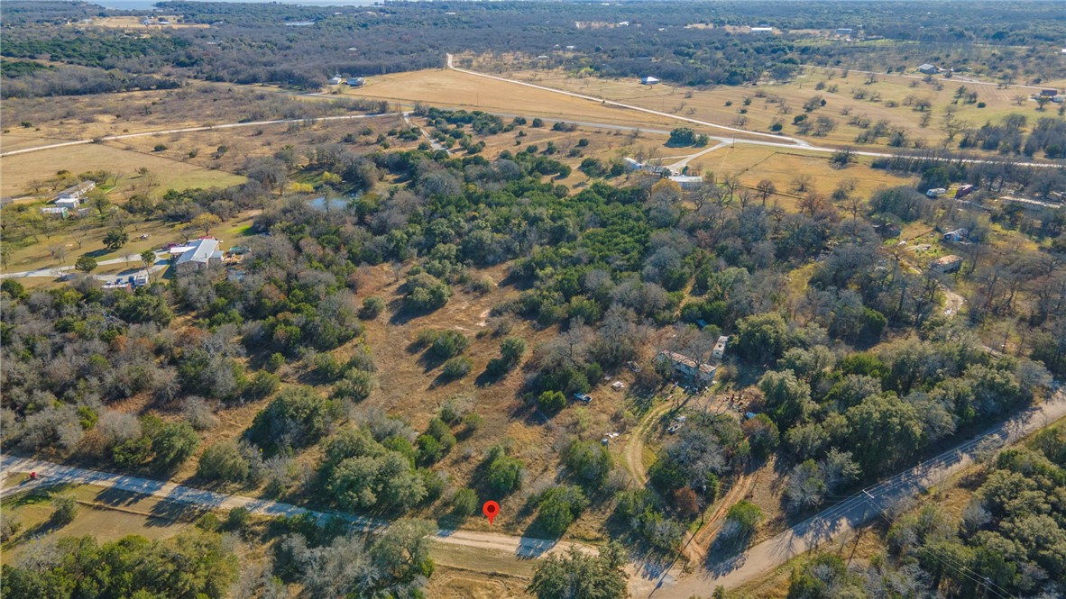 a view of a yard with a forest