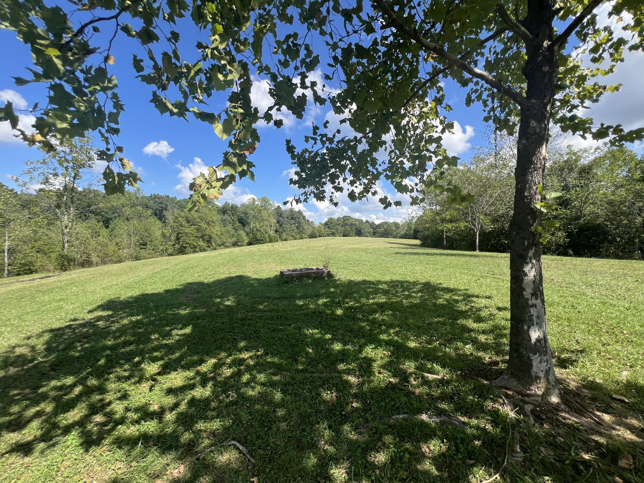 a view of yard with green space