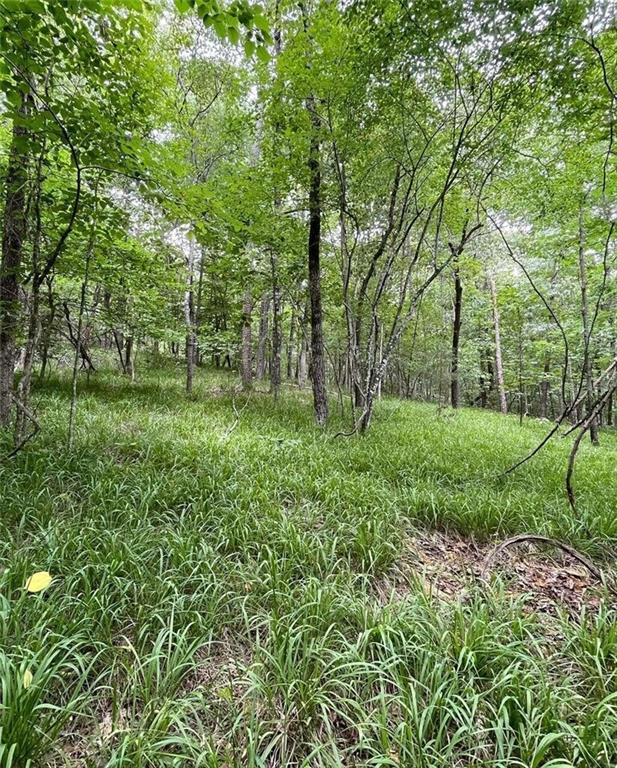 a big yard with lots of green space and deers