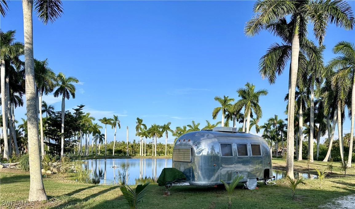 a view of a lake with palm trees