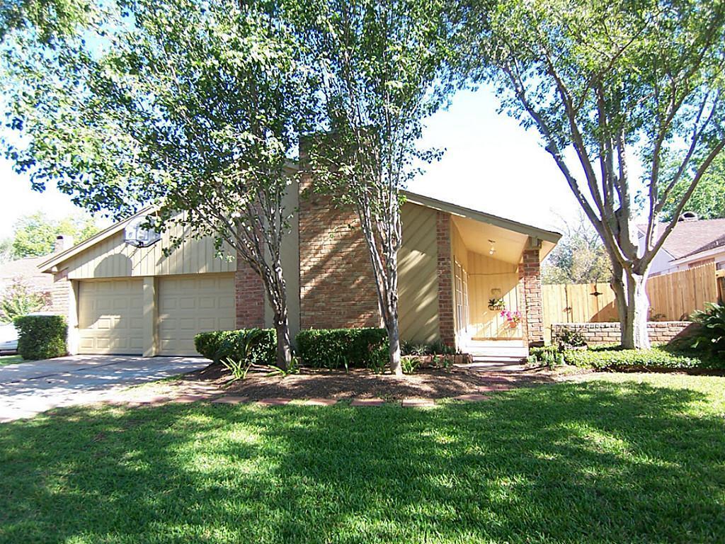 a view of a backyard with a tree