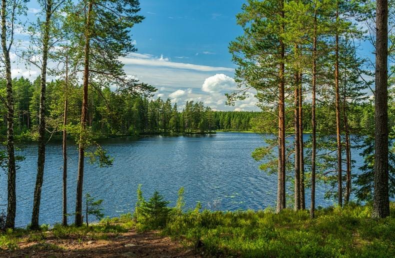 a view of a lake