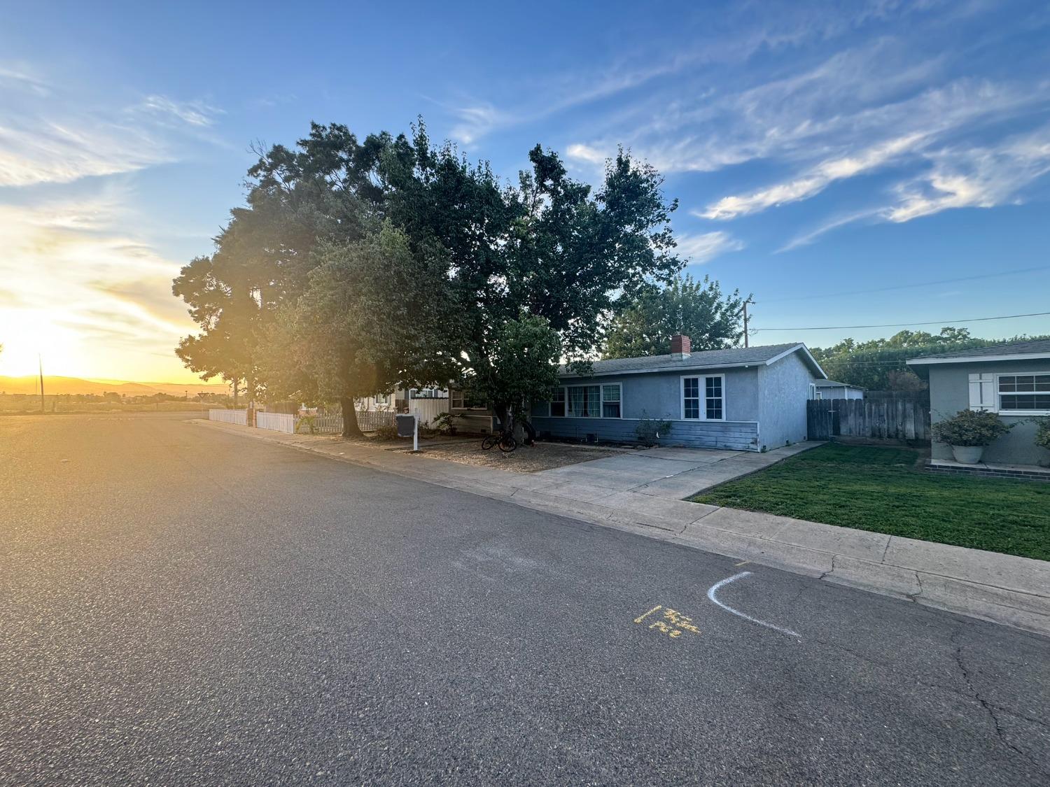 a view of a house with a yard and large tree