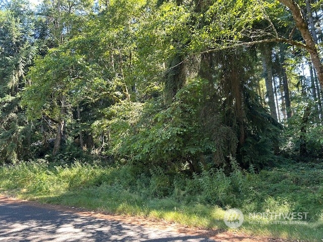 a view of a yard with a tree