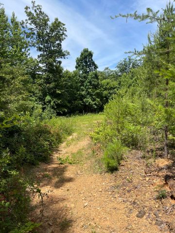 $175,000 | 0 Orme Mountain Road | Orme