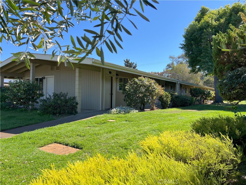 a view of a house with a yard and potted plants