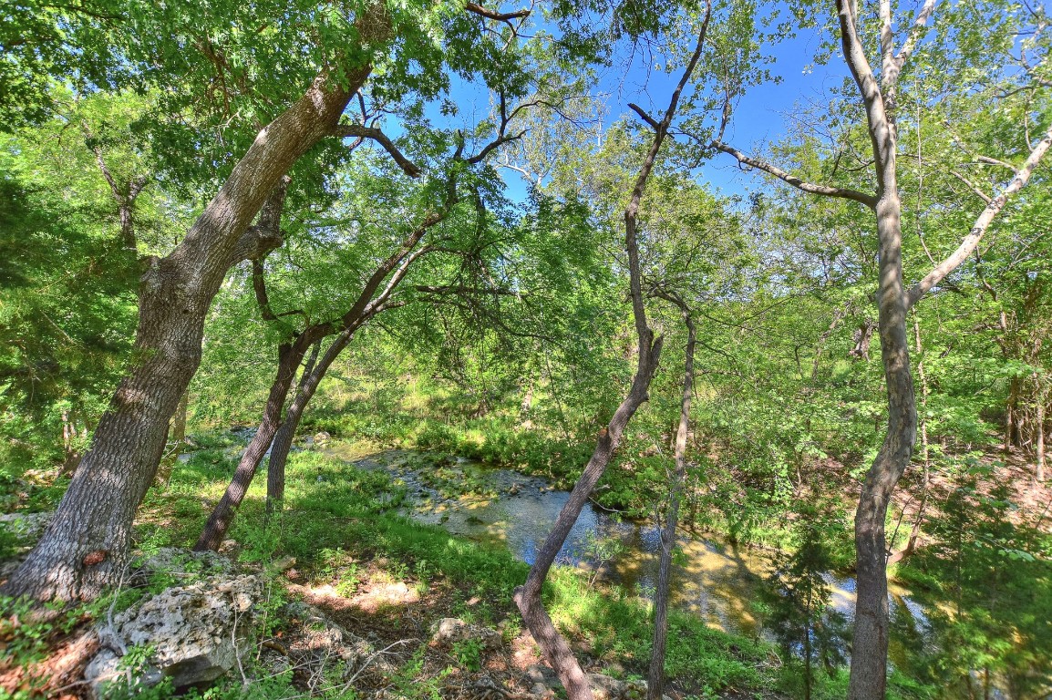 a view of a tree