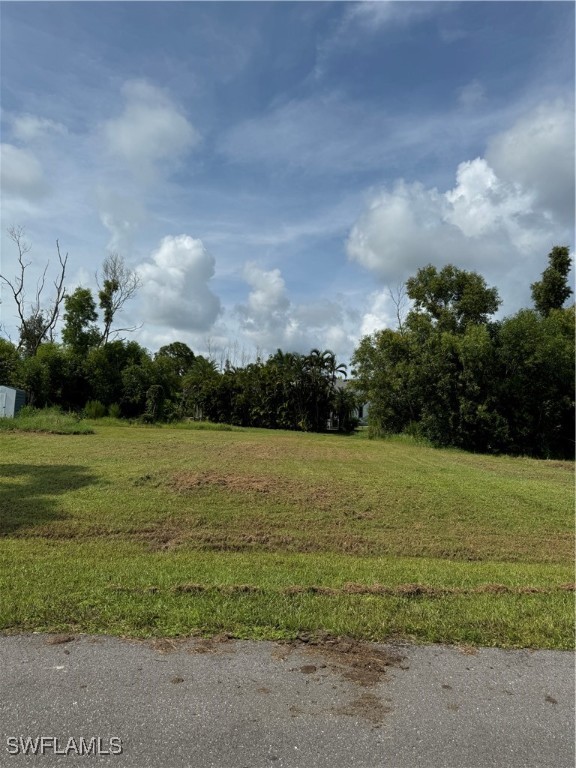 a view of a field with an ocean