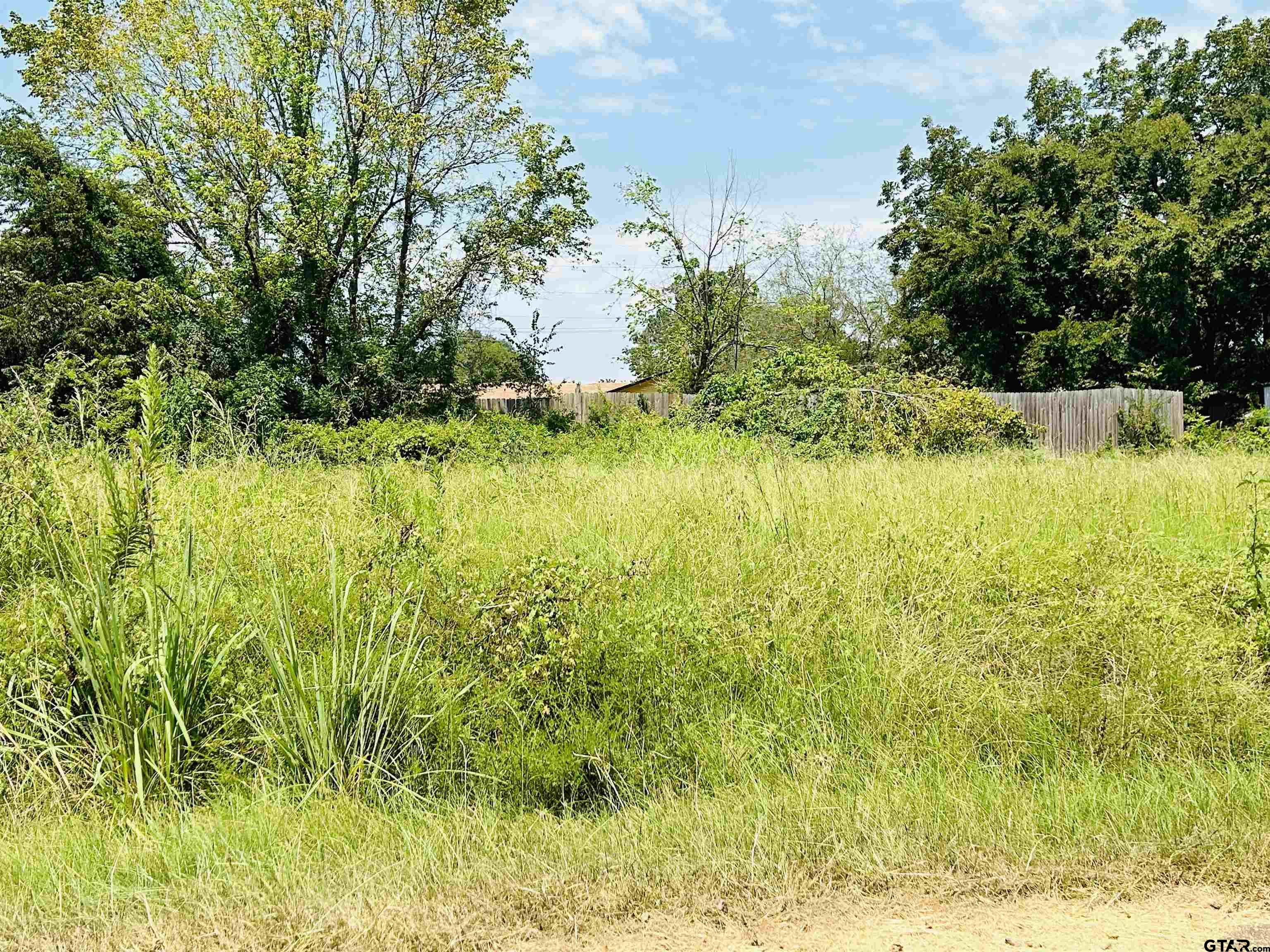 a view of yard with swimming pool