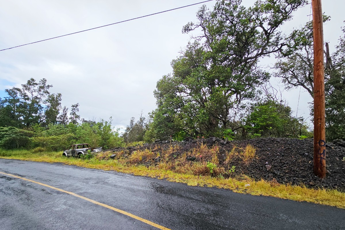 a view of a yard with a tree