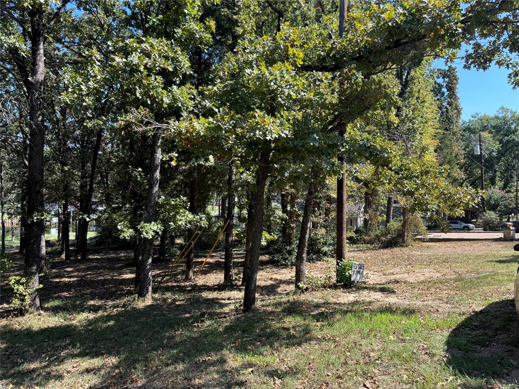 a view of a yard with a tree