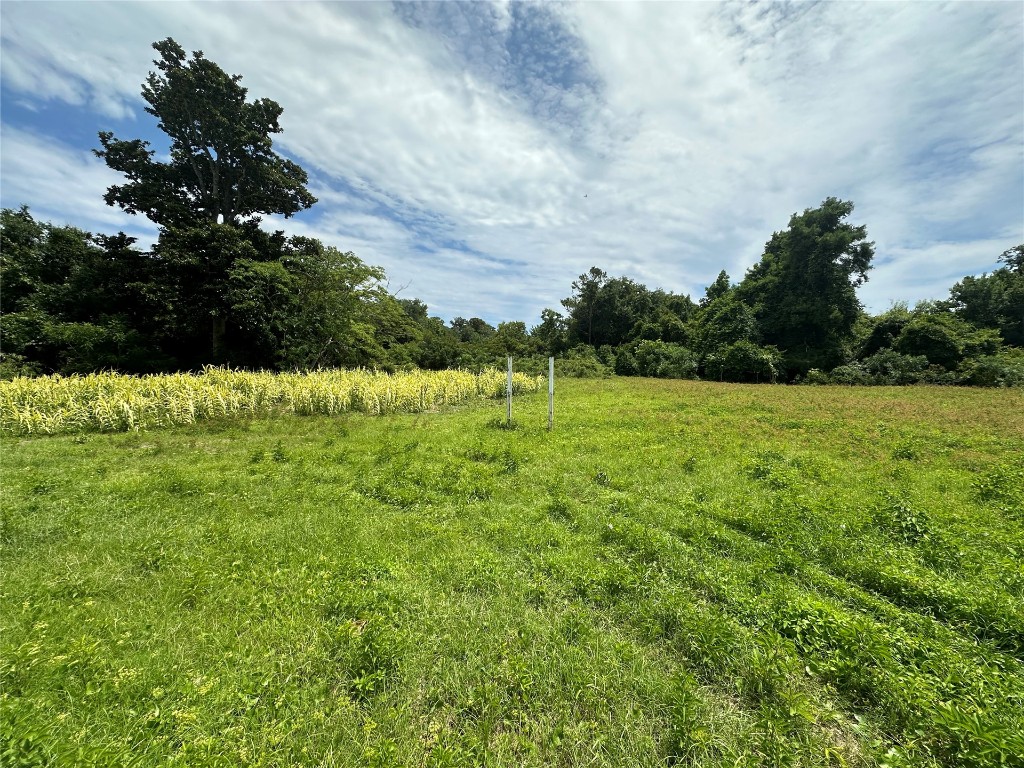 a view of a grassy field with trees