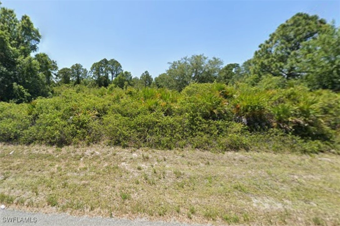 a view of a yard with a tree