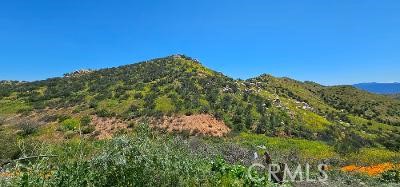 a view of a large mountain with a tree in the background