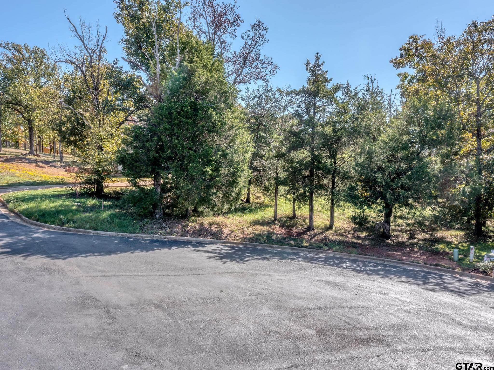 a view of backyard with green space