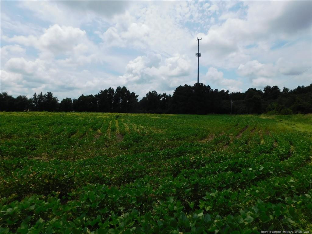 a view of a field with a small yard and wooden fence