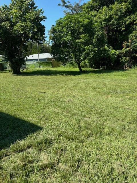 a view of a garden