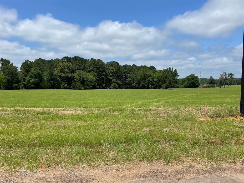 a view of field with trees in the background