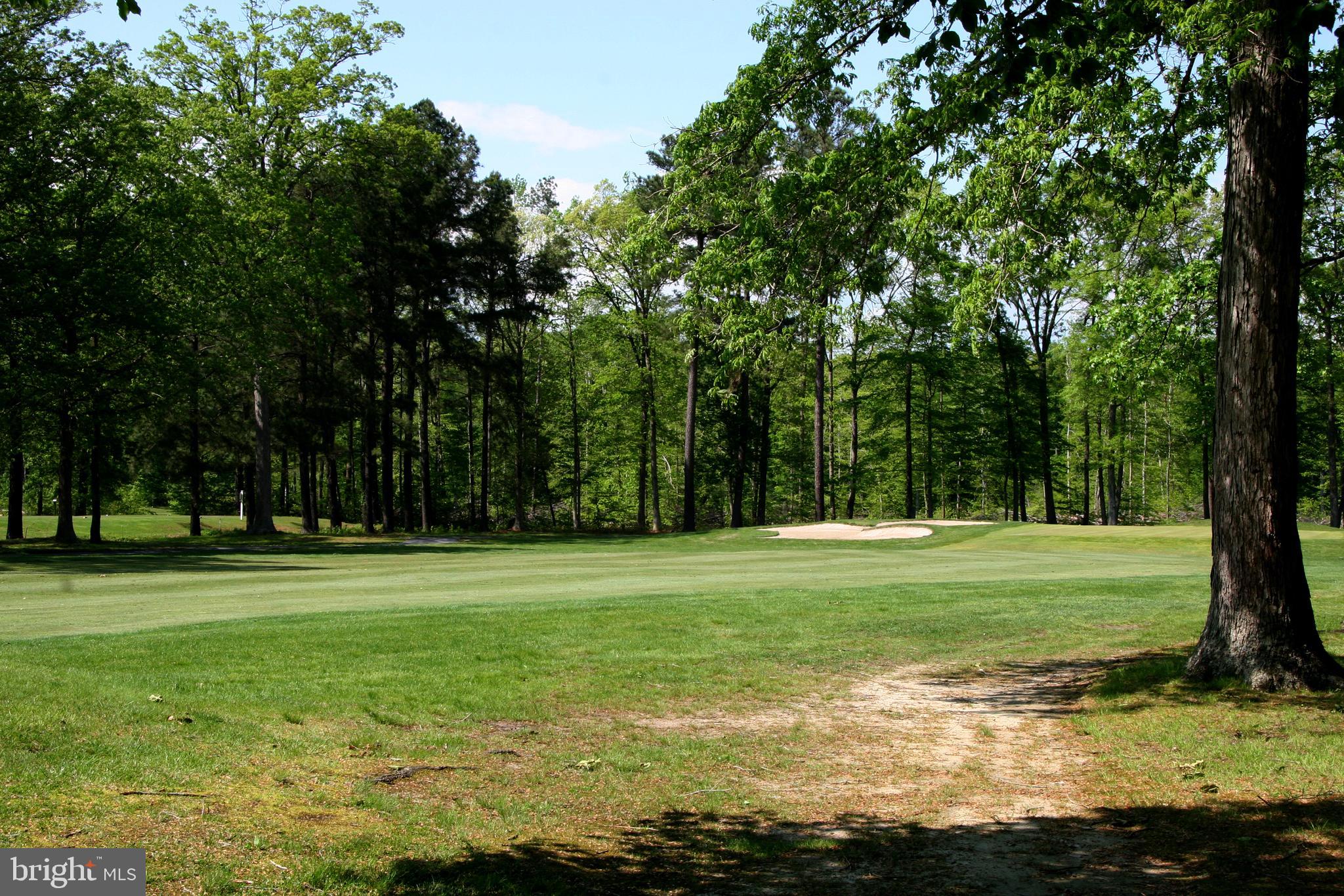 a view of a grassy field with trees