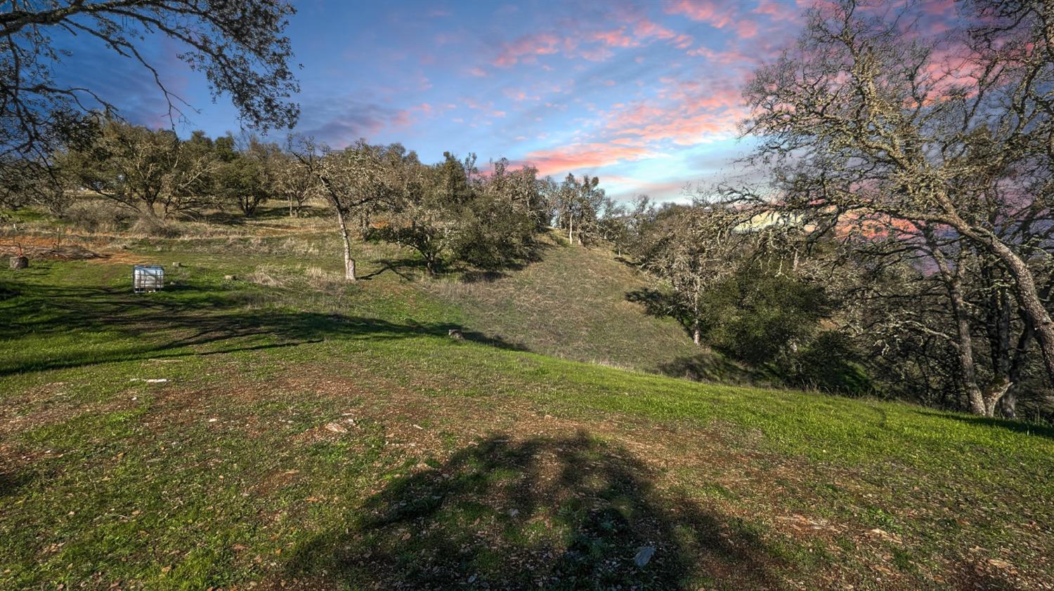 a view of a yard with a tree