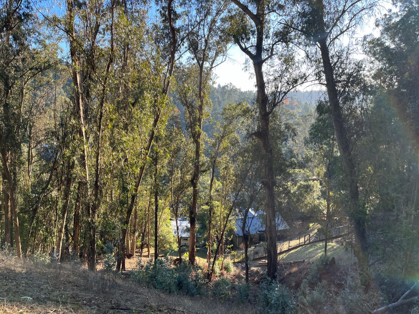 a view of outdoor space and yard