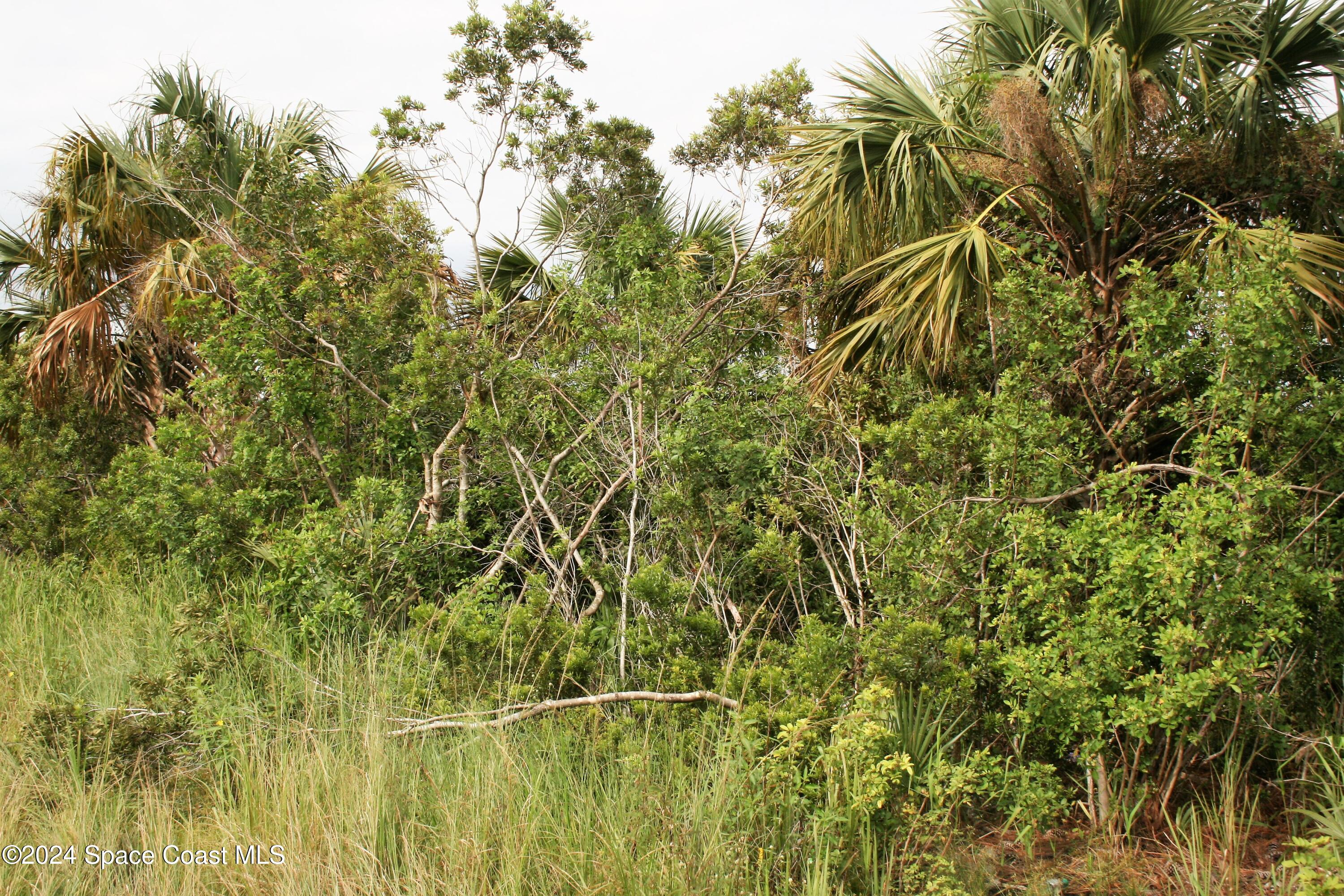 a view of a backyard of the house