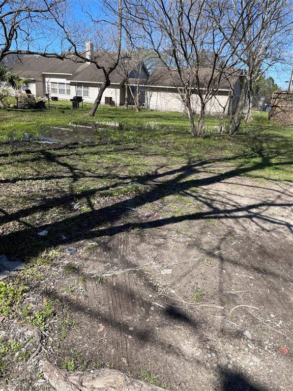 a view of a yard in front of a house