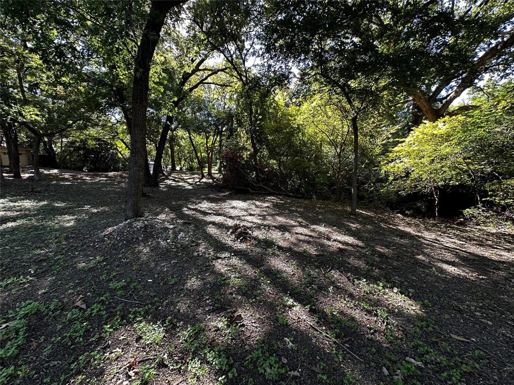 a view of a tree with a yard