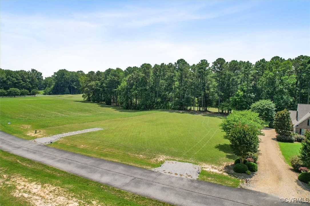 a view of a field with a tree in the background