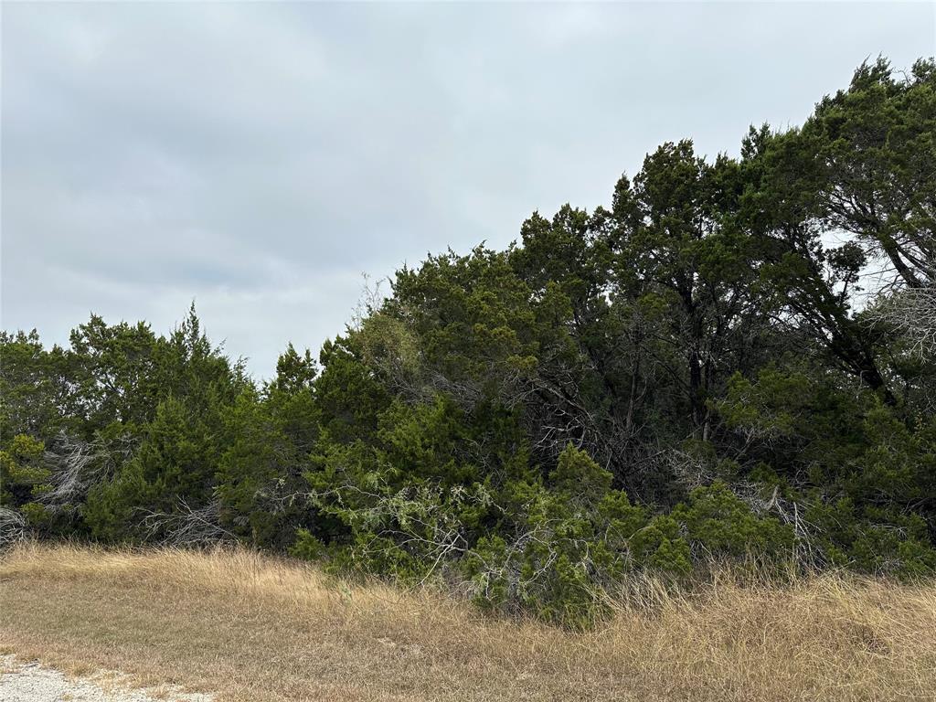 a view of a field of grass and trees