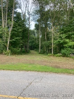 a green field with trees in the background