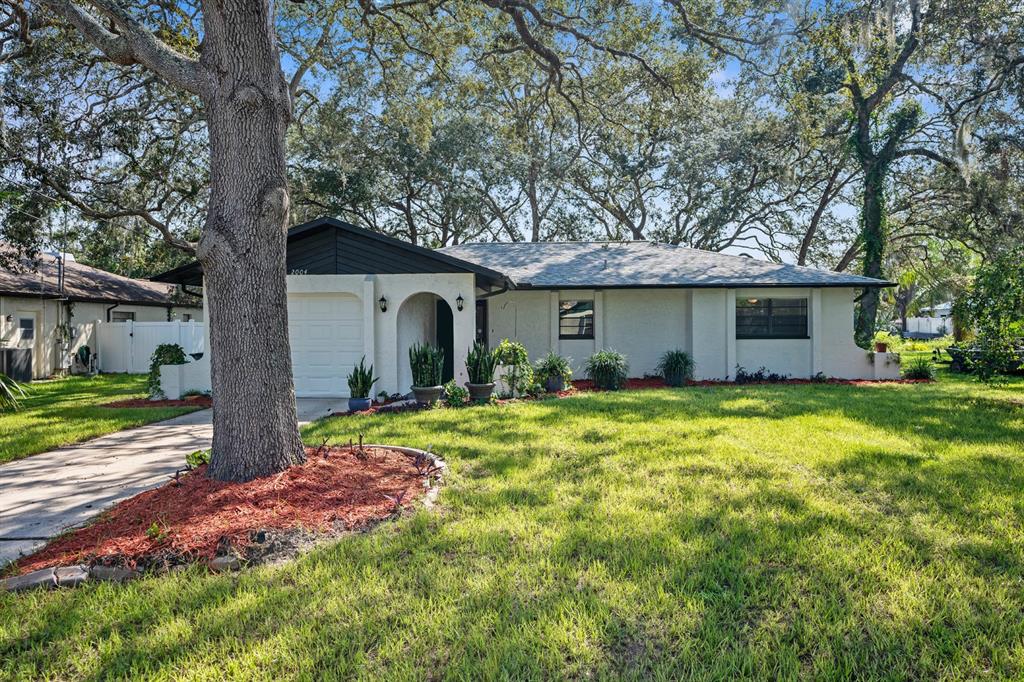 a front view of house with yard and green space