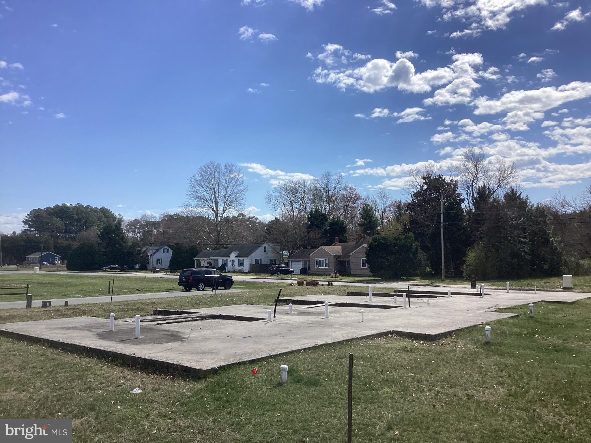 a view of a park with large trees