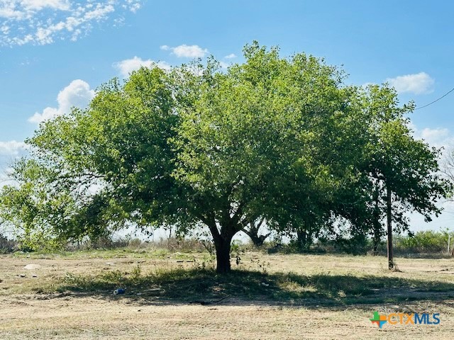 a view of a yard with an trees