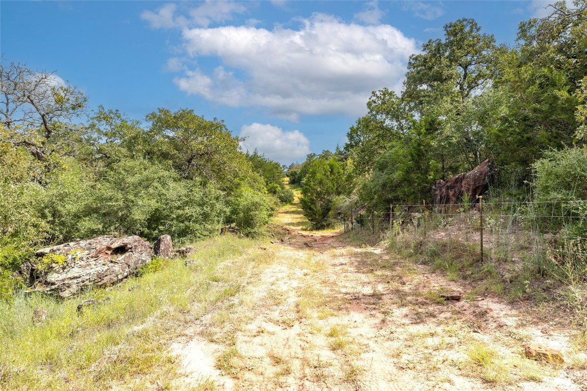 a view of a yard with trees