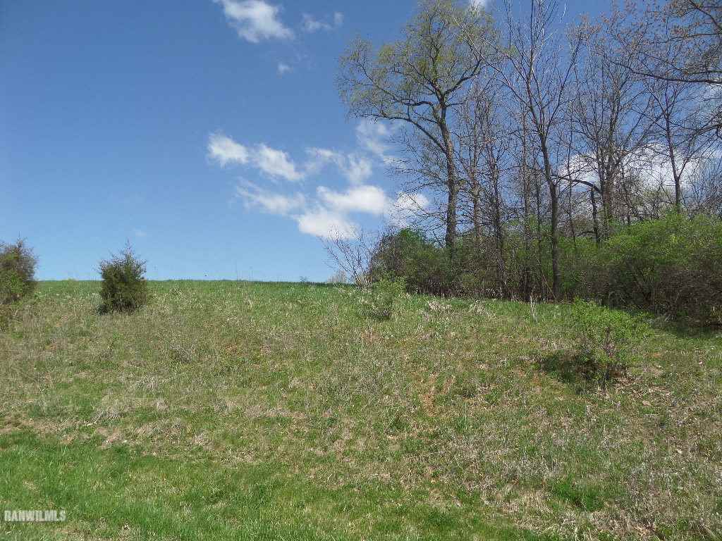 a view of a green field