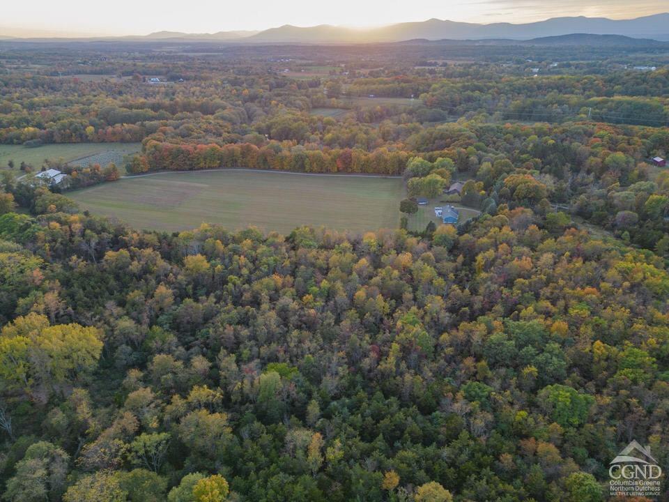 an aerial view of mountain with trees