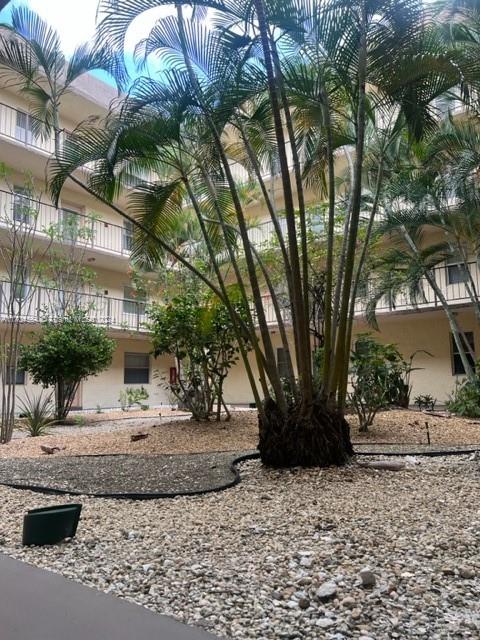 a view of a yard with plants and trees