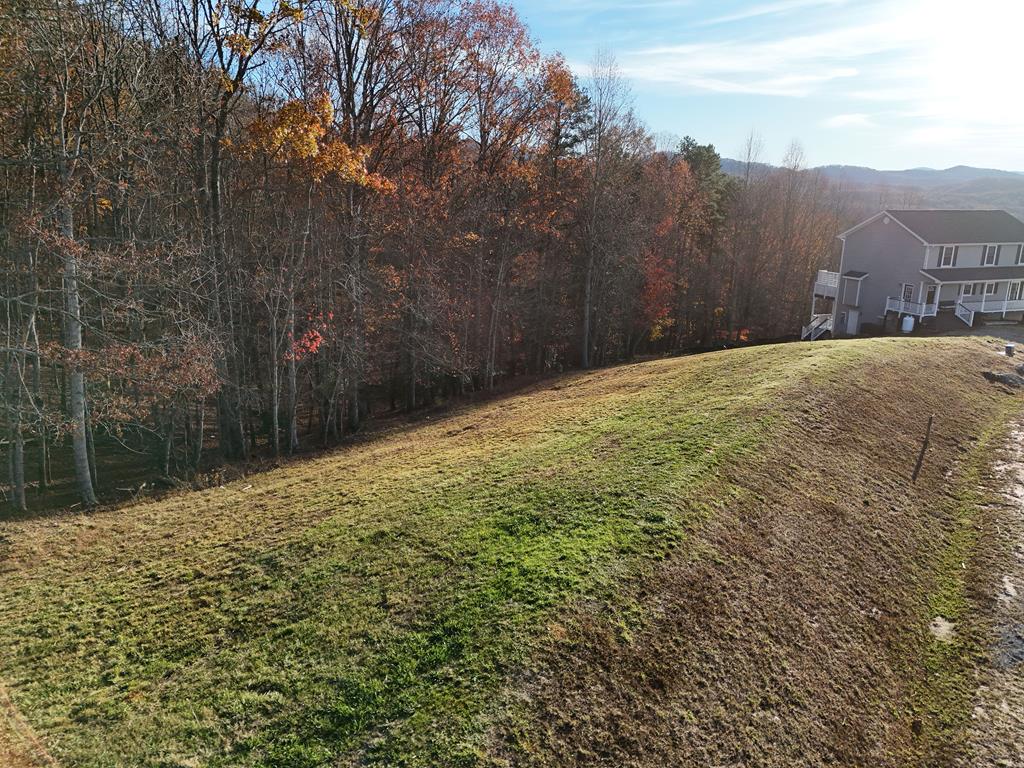 a view of a yard with a large tree