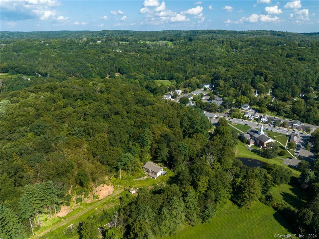 a view of a bunch of trees