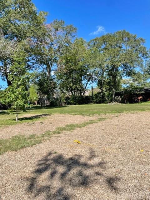 a view of yard with large trees