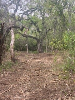 a view of backyard with green space